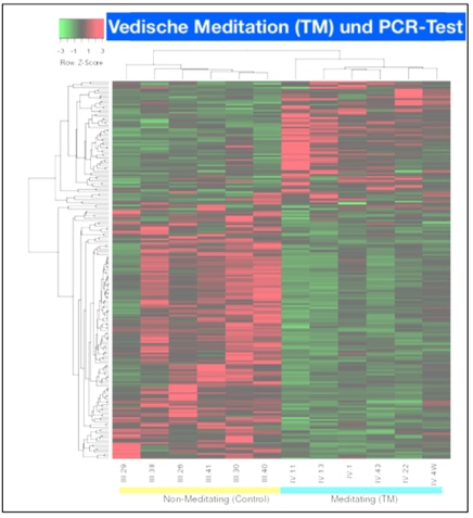 Corona, TM und PCR-Test